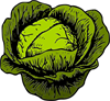 cabbage-1299145_960_720.png