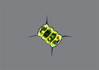 Сценодесмус7.jfif