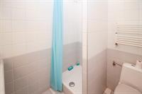 showercurtain.jpg