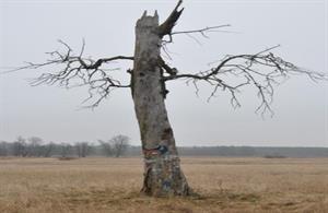 старі.JPG