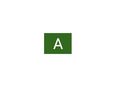 Аліна Брячок