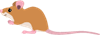 Ресурс 4.png