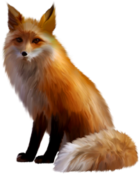 лисиця.png