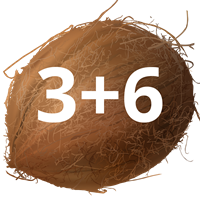 к9.2.png