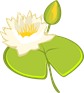 water-lily-4177686_1280.png