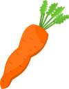 carrot-1298733_960_720.png
