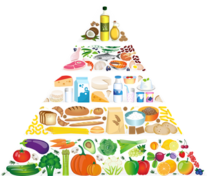 food-pyramid-5329204_1280.png