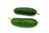 cucumbers-4912726_960_720.jpg