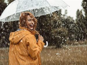 Shutterstock_1145698769.jpg