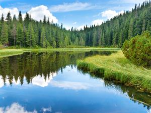shutterstock_534126301.jpg