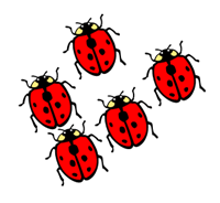 баг1.png