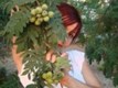 Ирина Швецова