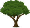 tree-576848_1280.png