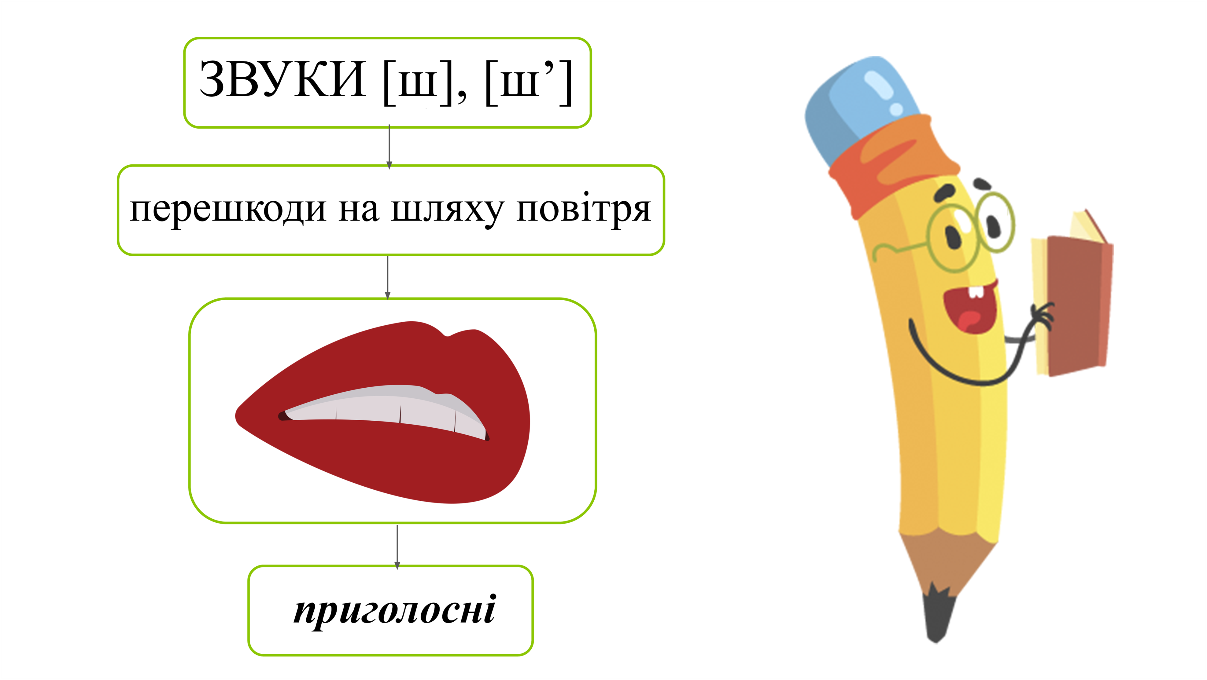 Буква Ш — урок. Навчання грамоти, 1 клас.