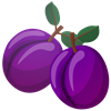 2c.png