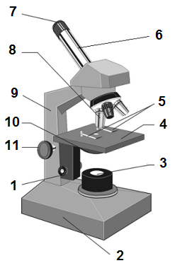 мікроскоп_цифри7.png