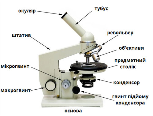 мікроскоп.png