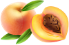 абрикос.png