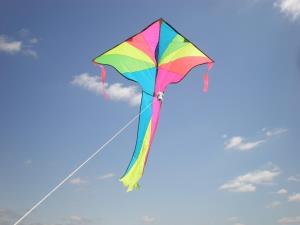 kite_soaring.jpg