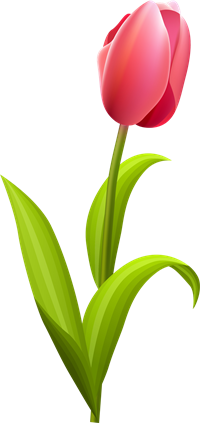 25e1e9b2f20909f9fc3540ec600b1819.png