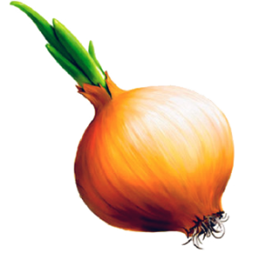 цибуля..png
