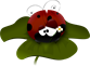 ladybug-48082_1280.png