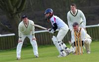 cricket-pix.jpg