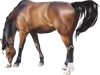 КІНЬ.png