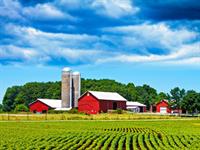 Shutterstock_85011913_farm_zemnieku saimniecība.jpg