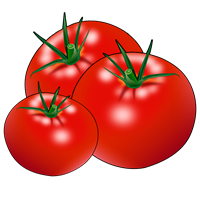 помидоры.png