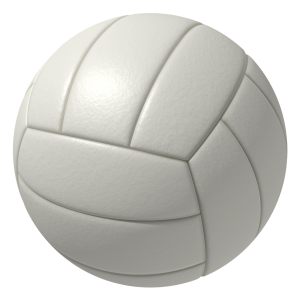 1724632-volleyball__mario_sports_mix_.png