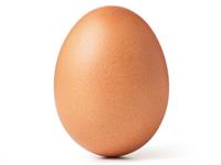 Shutterstock_1187378770_egg_ola.jpg