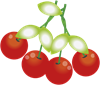 4в.png