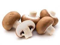 Shutterstock_626171978_mushrooms_sēnes.jpg