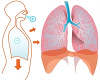 дихання інгалаяція.jpg
