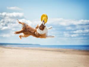 Shutterstock_759950959.jpg