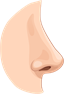 nose.png