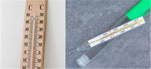 thermometeralcohol thermometer.png