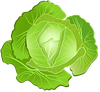 капуста.png