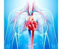 канва плат серце.jpg