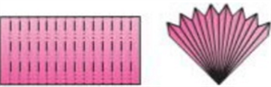 10а.png