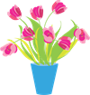 flowers-4158022_1280.png