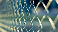 fence2.jpg