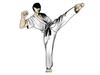 karate-2968106_960_720.jpg