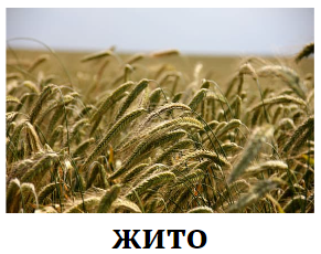 Знімок екрана 2024-02-09 202920.png