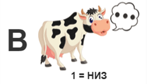 14.png