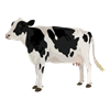 201409_cow.png