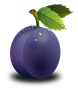 plum.png