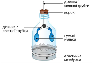 Screenshot 2024-02-13 at 15-27-22 NMT_2024-Biologiya-Demo_sajt.pdf.png