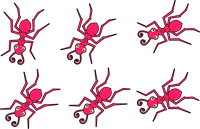 ants-1718975_960_720.png